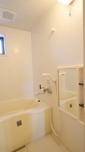 グリーンフィールド B202号-9