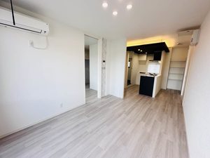 ディアス　Ｎ 0202号-1