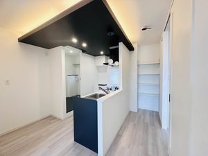 ディアス　Ｎ 0202号-3