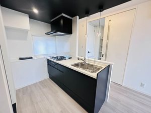 ディアス　Ｎ 0202号-4