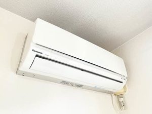 ラフィネ敷地 B202号-11