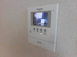 ディアス　石芝 0102号-7