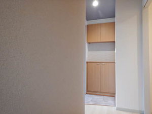 ディアス　石芝 0202号-4