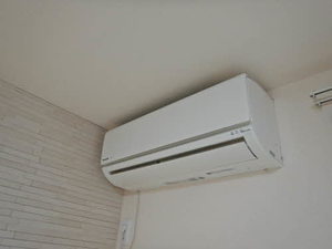 ディアス　石芝 0202号-8