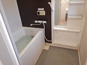 ディアス　石芝 0202号-15