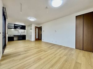 マロニエ B202号-2