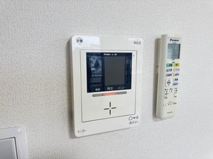 マロニエ B202号-11