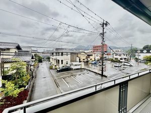 マロニエ B202号-13