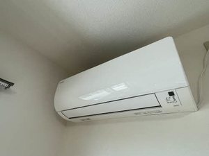 オーブⅠ 1201号-11