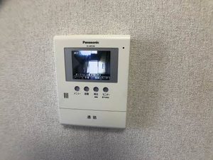 セントポーリア D102号-7