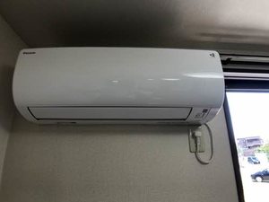 セントポーリア D102号-8