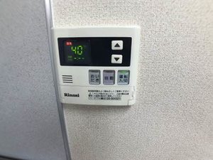 セントポーリア D102号-10