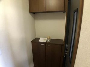 セントポーリア D102号-11