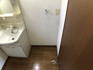 セントポーリア D102号-13