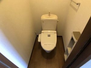 セントポーリア D102号-15