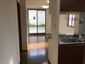 セントポーリア E102号-2