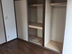 セントポーリア E102号-6