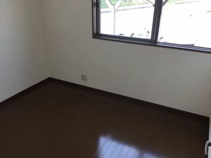 セントポーリア E102号-7