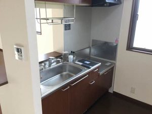 セントポーリア E102号-8