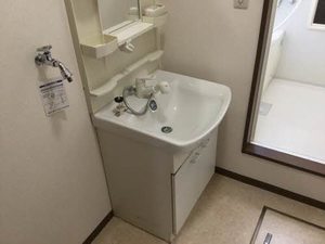 セントポーリア E102号-10