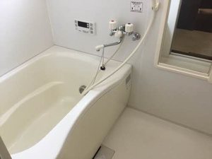 セントポーリア E102号-11