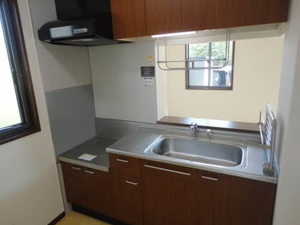 ドミールゆうひがおか C101号-4