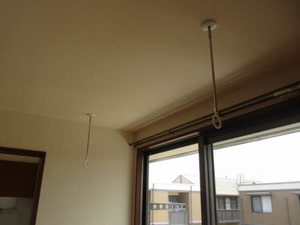 ラフローラ D213号-10