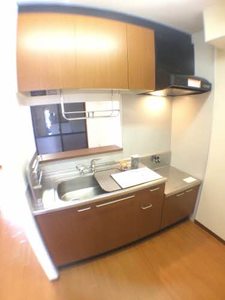 シャーメゾン 0102号-5