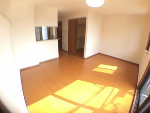 シャーメゾン 0202号-3