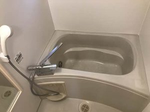 パンパスグラス 0105号-8