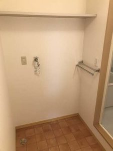 パンパスグラス 0105号-10