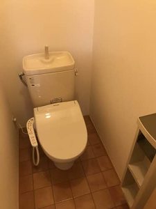 パンパスグラス 0105号-11