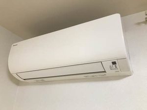 パンパスグラス 0105号-12