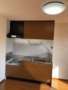 シリウスハイム B201号-3