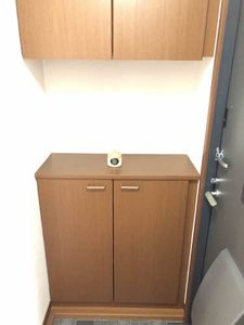 ブレシアスヒルⅡ B202号-10