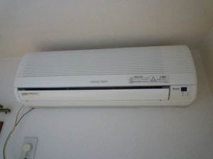 レオンK 0203号-11