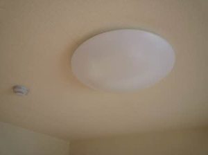 レオンK 0203号-12