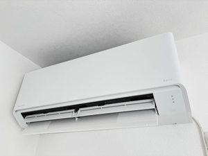 シンフォニー C102号-11