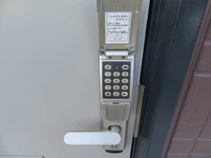 クローバー B101号-6