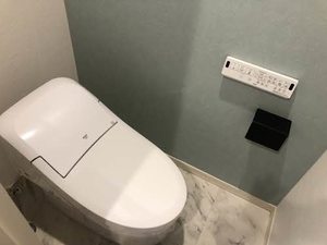 クローバー C102号-9