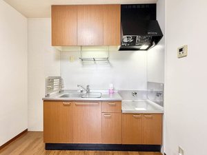 パルミールアン 0203号-4