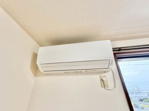 パルミールアン 0203号-11