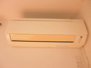 ビクトワールＣ 0101号-11