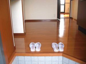 シャーメゾン平林 0102号-4