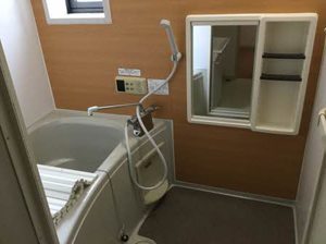 ディアスナオエ 0102号-9