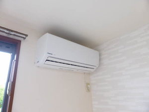 カテリーナ A201号-8