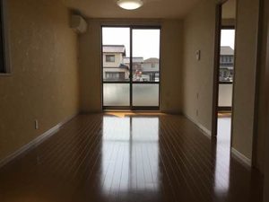 蒲公英 0101号-2