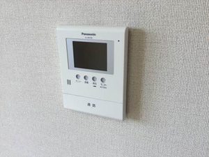 蒲公英 0101号-6