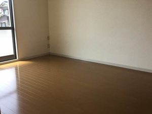 蒲公英 0101号-8