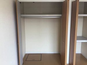 蒲公英 0101号-10